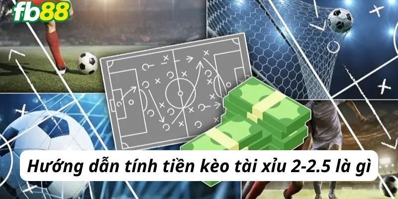 Hướng dẫn tính tiền kèo tài xỉu 2-2.5 